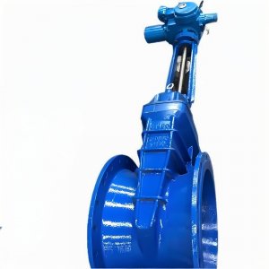 上海湖泉dn350溝槽電動明桿閘閥生產(chǎn)廠家