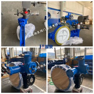 礦用電動蝶閥WSD943X-16P DN500含執行器